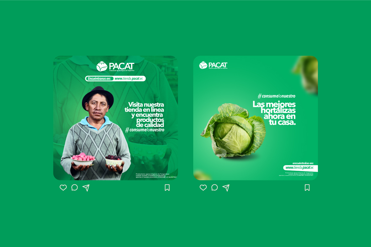 Tienda PACAT